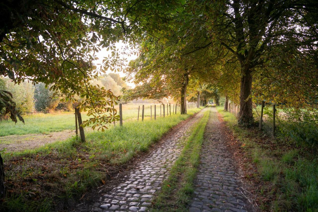 Вилла Velpe 55 Bierbeek Экстерьер фото