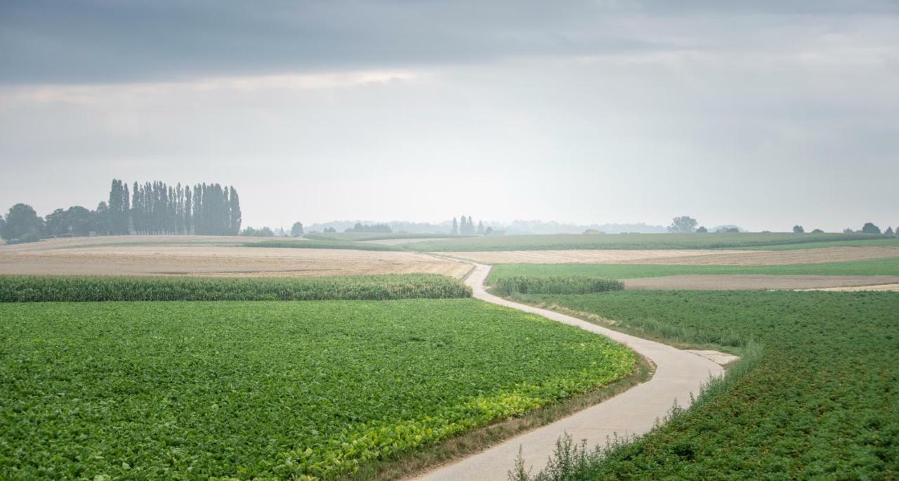Вилла Velpe 55 Bierbeek Экстерьер фото
